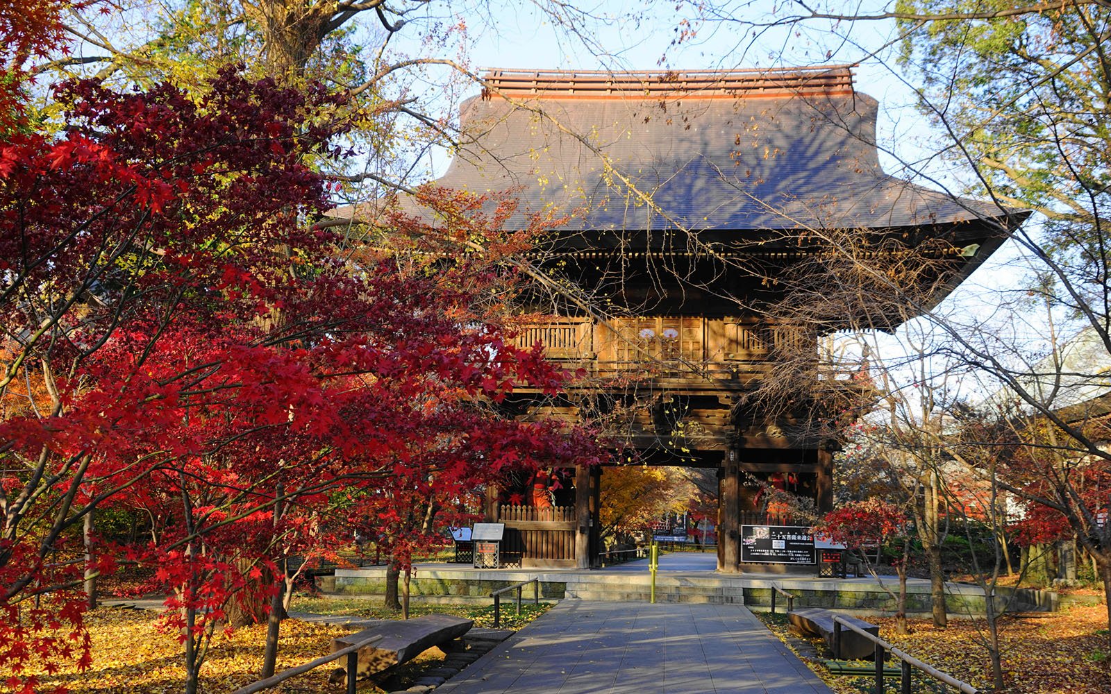 🏯 쿠혼부츠 조신지 이미지 6